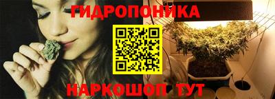 прущие крисы Кимры